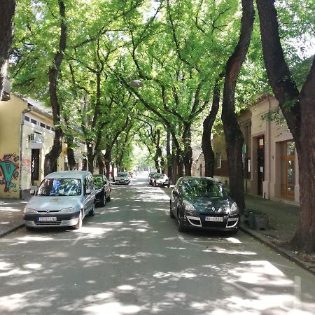 Apartman Park Subotica Eksteriør billede