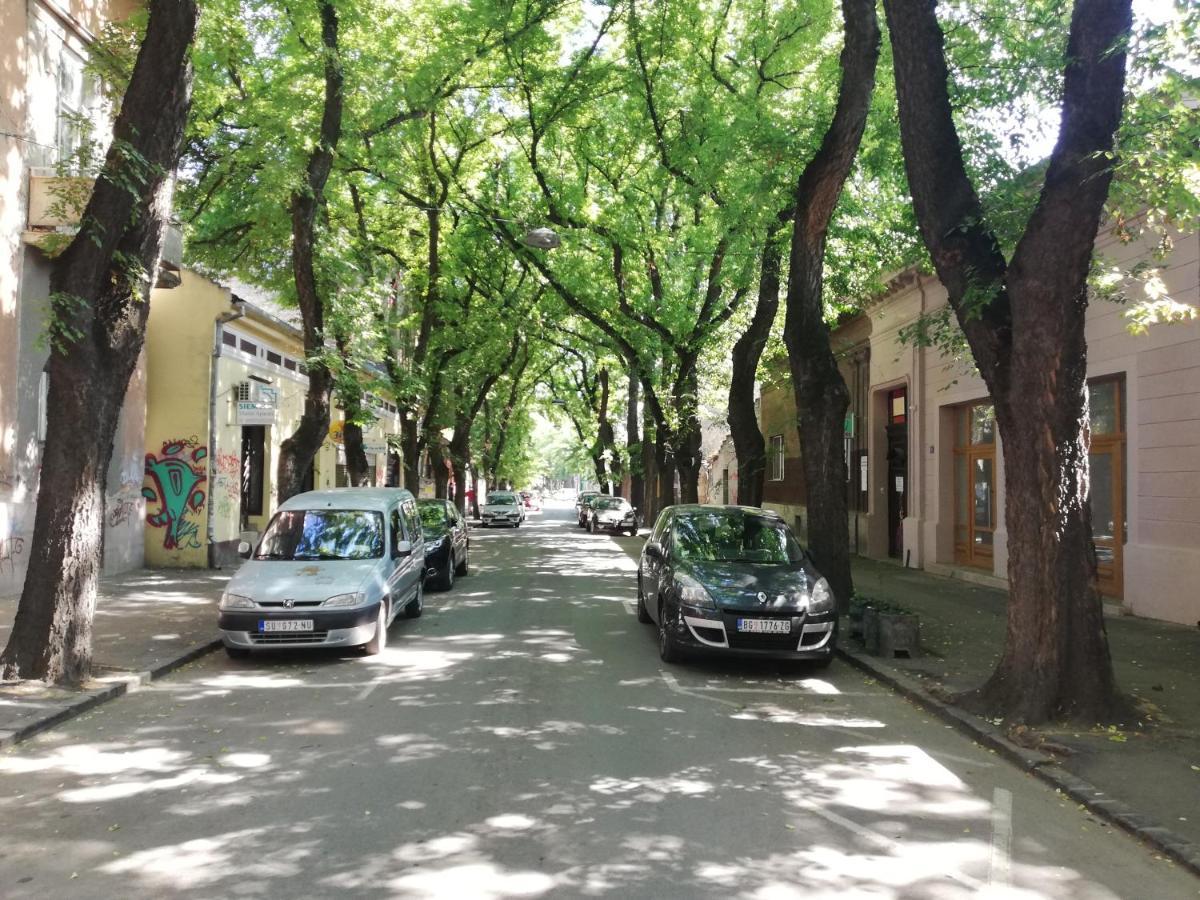 Apartman Park Subotica Eksteriør billede